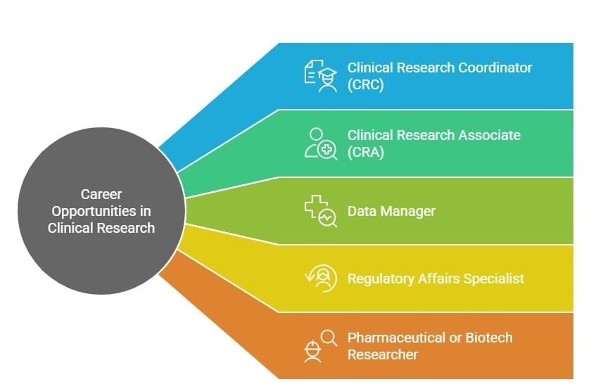 career opportunities in clinical research after completing the introduction to clinical research course online