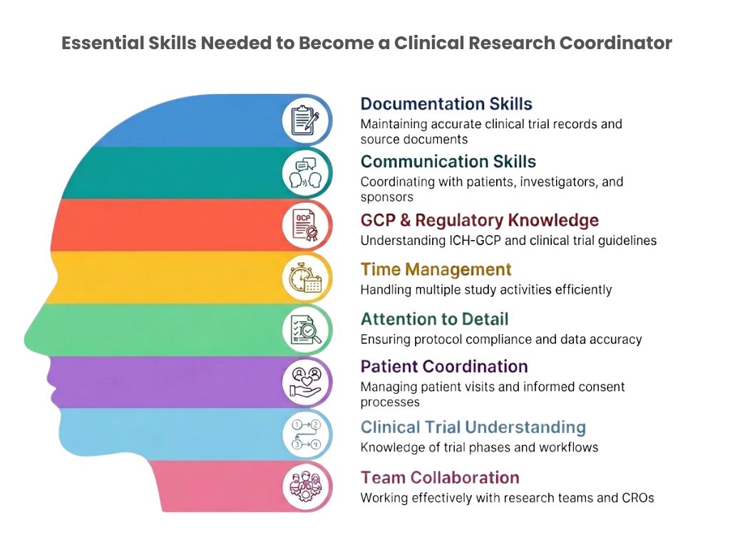 essential skills to become a clinical research coordinator